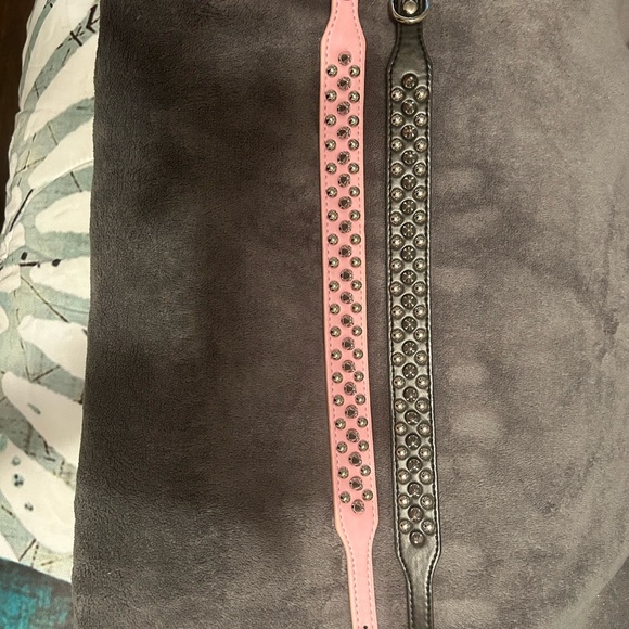 Dog collars, size large brand new - Picture 3 of 3